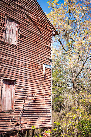 Milledgeville - Spring 2023 - 5 - Old O'Quinn Mill (Siding Detail #2)