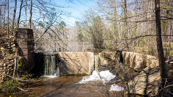 Milledgeville - Spring 2023 - 8 - O'Quinn Pond Wier (Town Creek)