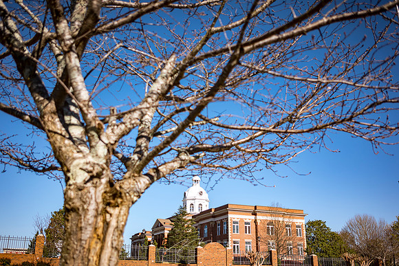 Eatonton - Mar 2023 - 3 - Putnam County Courthouse (Tree)