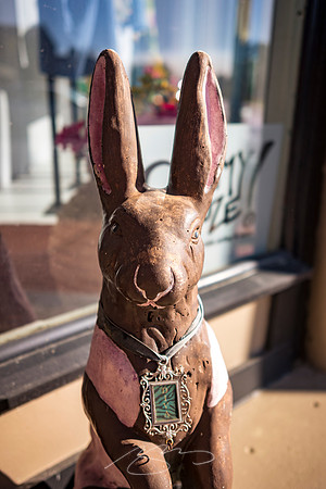 Eatonton - Mar 2023 - 24 - Rabbit (Maggie)