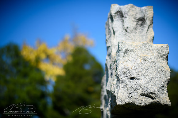 D810-58mm practice -13