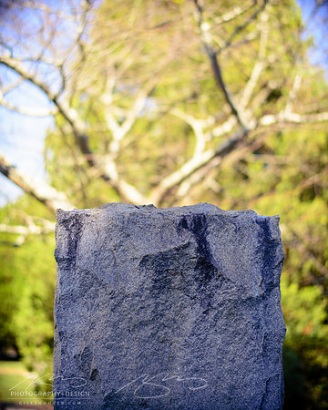 D810-58mm practice -16