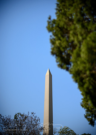 D810-58mm practice -15
