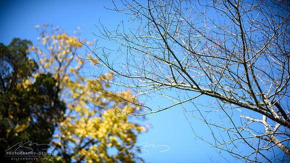 D810-58mm practice -18