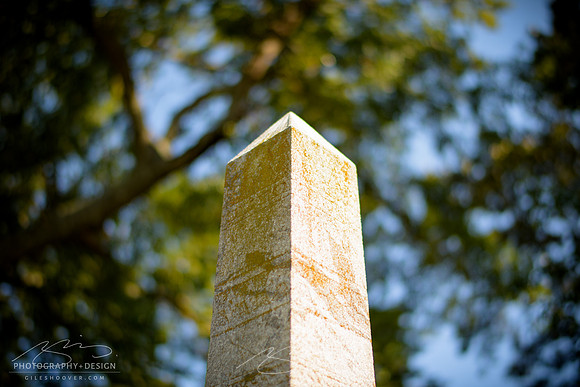 D810-58mm practice -23