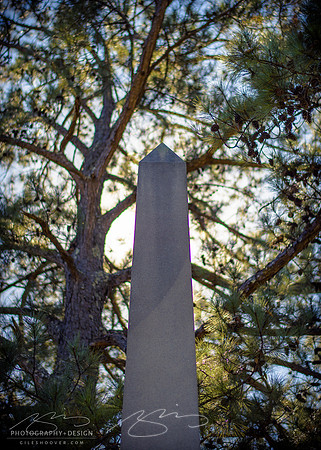 D810-58mm practice -28