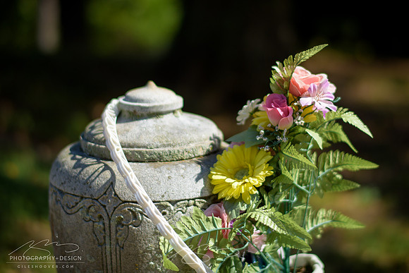 D810-58mm practice -34