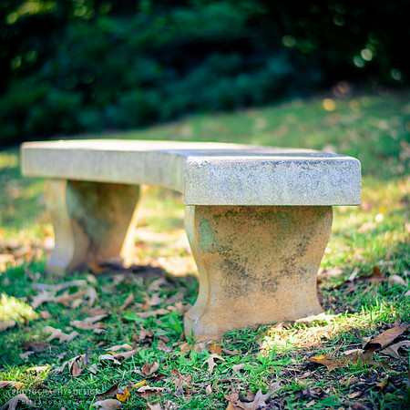 D810-58mm practice -37