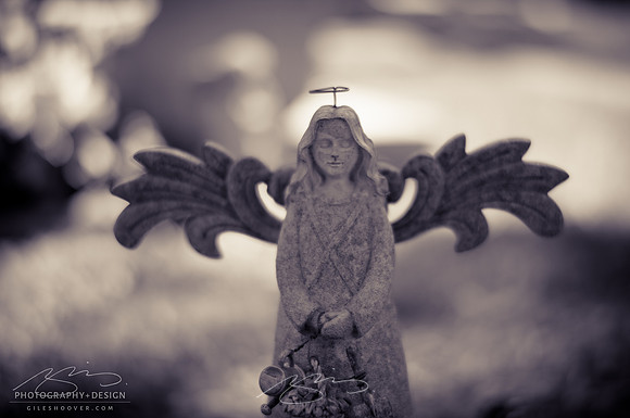 D810-58mm practice -39