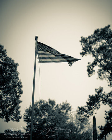 D810-58mm practice -40