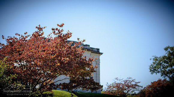 D810-58mm practice -41