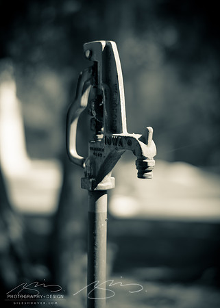 D810-58mm practice -42