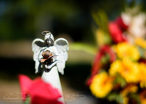 D810-58mm practice -44