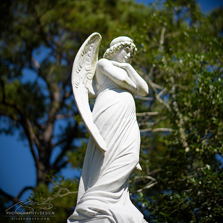 D810-58mm practice -45