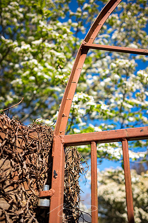 Zebulon - March23 - 19 - Garden Gate in Spring (#1)