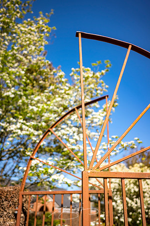 Zebulon - March23 - 20 - Garden Gate in Spring (#2)