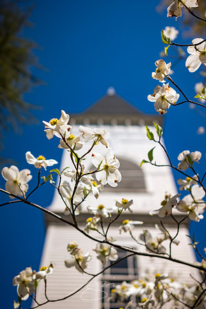 Senoia - March23 - 6 - Senoia United Methodist Church (Blossoms #2)