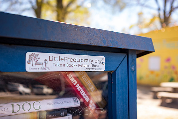 Senoia - March23 - 20 - The Little Free Library (Between Main and Barnes Sts.)