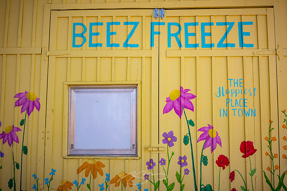 Senoia - March23 - 21 - Beez Freeze, 75 Main St