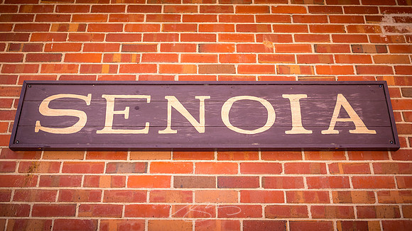 Senoia - March23 - 32 - Sign of Senoia, City Hall, 84 Main St._