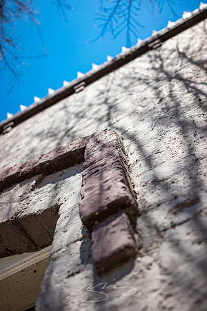 Senoia - March23 - 39 - Dang! Building Detail, 53 Main St