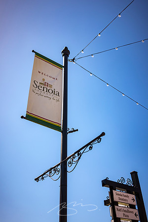 Senoia - March23 - 42 - Signs of Senoia (Main and Seavy Sts.)