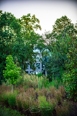 Johns Creek - Sep 2026 - 11 - 6465 E. Johns Crossing (Through the Trees)