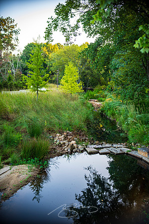 Johns Creek - Sep 2026 - 13 - Johns Creek from the Boardwalk, 6460 E. Johns Crossing