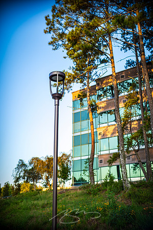 Johns Creek - Sep 2026 - 15 - Light Pole, 6455 E. Johns Crossing