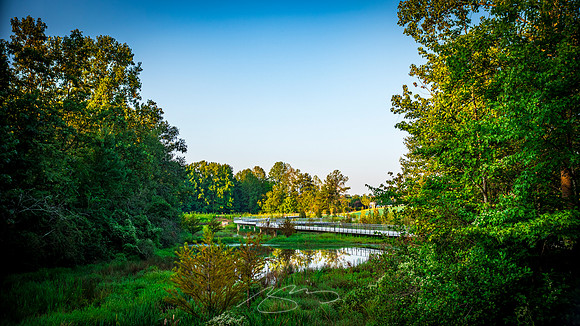 Johns Creek - Sep 2026 - 23 - Former Lake Basin #1, 11362 Lakefield Dr.