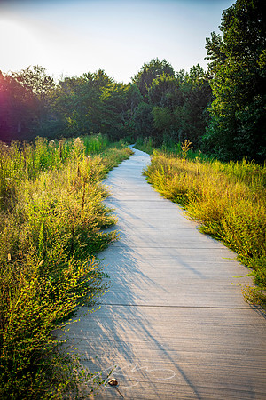 Johns Creek - Sep 2026 - 27 - Grassy Path, Morning Sun, 11362 Lakefield Dr.
