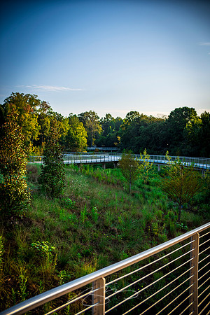 Johns Creek - Sep 2026 - 28 - Former Lake Basin #4, 11362 Lakefield Dr.