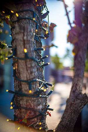 Duluth - Sep 2026 - 45 - Tree Light (with Lens Flare), Parson's Alley, 3550 W. Lawrenceville St.
