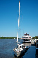 Savannah