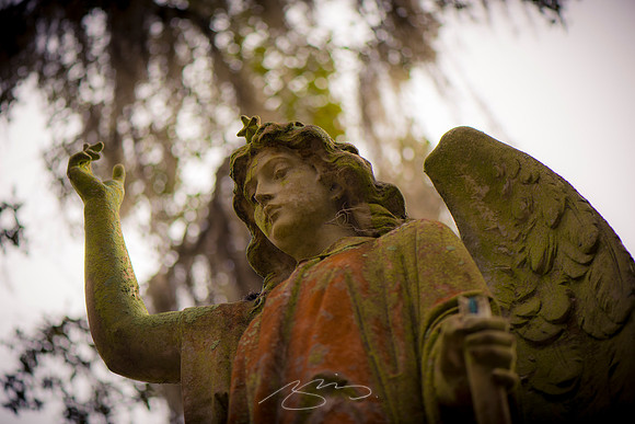Savannah-Bonaventure -38