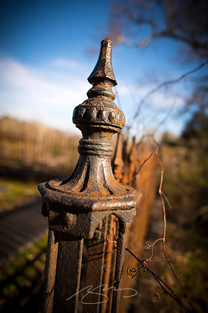 D810-20mm practice -5