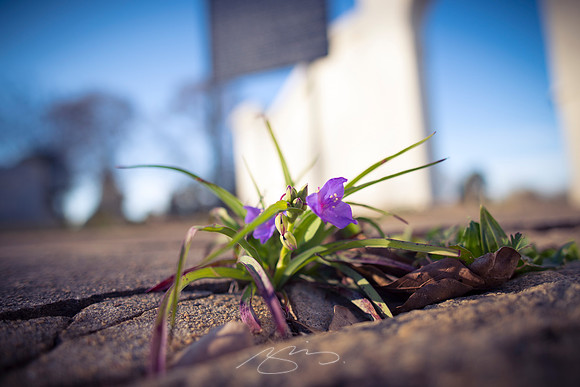 D810-20mm practice -16