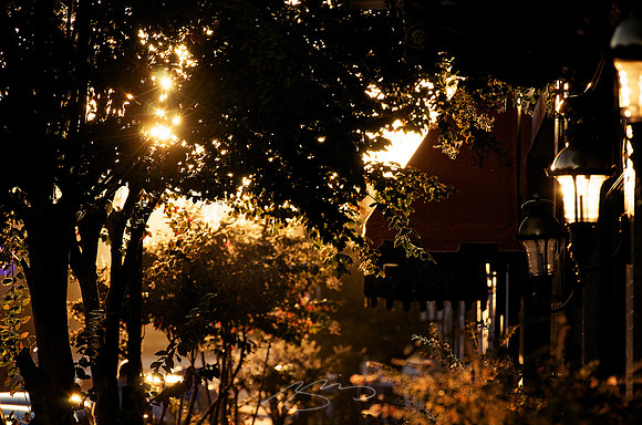 Cotton Avenue (at Sunset)