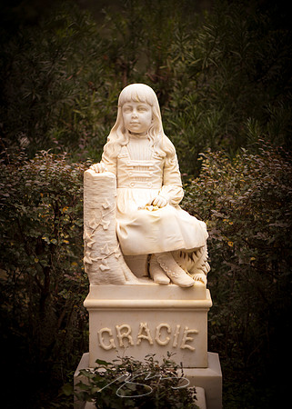 Savannah-Bonaventure -12