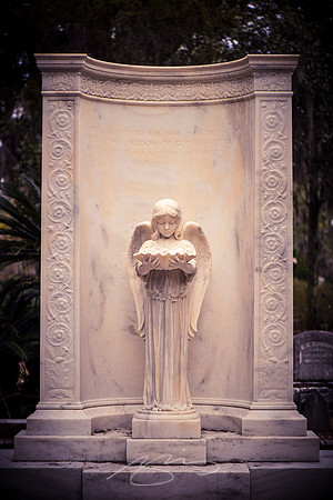 Savannah-Bonaventure -35