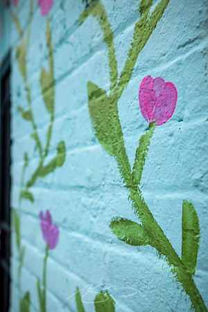 Montezuma - May 2023 - 42 - Building Detail, 118 S. Dooly St