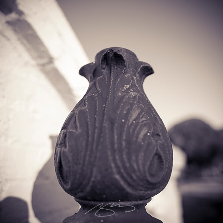 D810-20mm practice -27