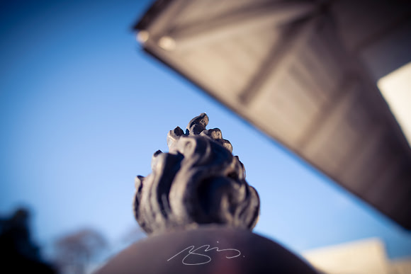 D810-20mm practice -26