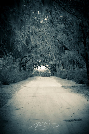 Savannah-Bonaventure -51
