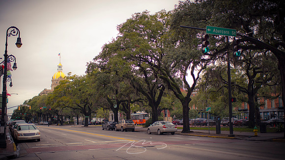 Savannah-Feb16 -1