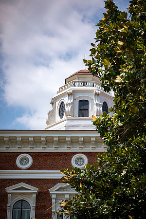 Macon - June 2023 - 2 - Hay and Magnolia, Georgia Ave