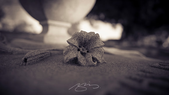 D810-20mm practice -31