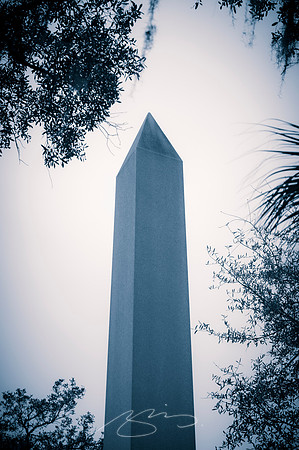 Savannah-Bonaventure -29