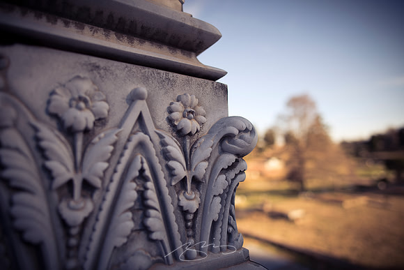 D810-20mm practice -9