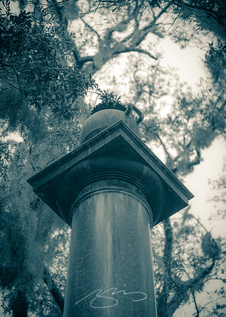Savannah-Bonaventure -24